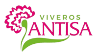 Antisa Viveros – Maria Isabel Justicia Piñar