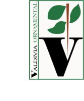 Valdivia Ornamental