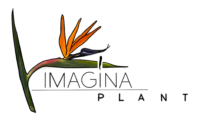 IMAGINAPLANT S.L.